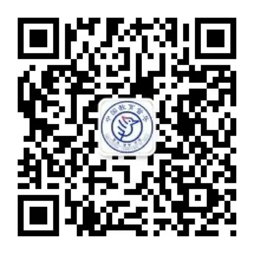 202409181726625767848788_11.png